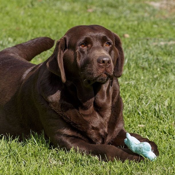 Y30A0397franny Dame: Franny