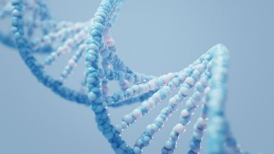 VIDEO: UNDERSTANDING DNA